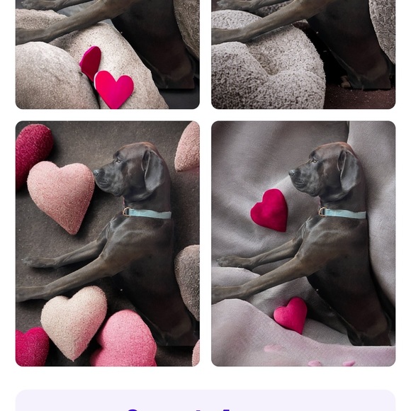 Meet your Posher, Victoria - Picture 8 of 17